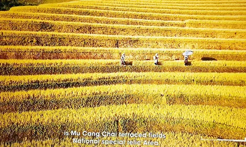 Festival "Tinh hoa Tây Bắc - Kết nối khát vọng xanh” 2023