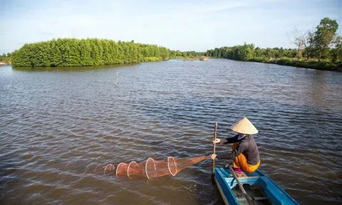 Khuyến khích phát triển mô hình nuôi tôm sinh thái dưới tán rừng