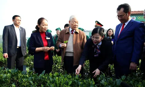 Đối thoại cơ chế khuyến khích nông dân và các doanh nghiệp đầu tư vào lĩnh vực nông nghiệp