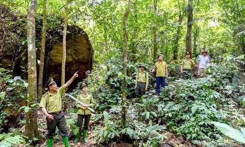 Phối hợp quản lý, bảo vệ rừng vùng giáp ranh