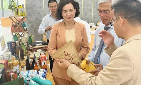 Thiết lập chuỗi liên kết vùng Đông Nam bộ