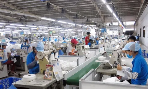 Chính phủ chỉ đạo lập Tổ công tác đặc biệt tại các tỉnh gỡ khó cho doanh nghiệp