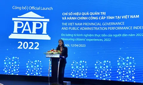 PAPI 2022: Người dân lạc quan về kinh tế và quan ngại về các tác động của đại dịch