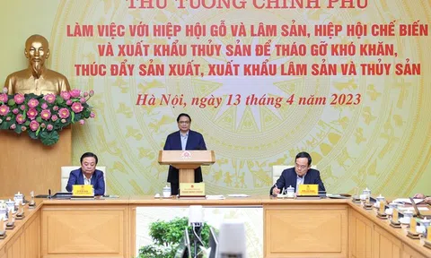 Thủ tướng chủ trì hội nghị tháo gỡ khó khăn, thúc đẩy sản xuất, xuất khẩu lâm sản, thủy sản