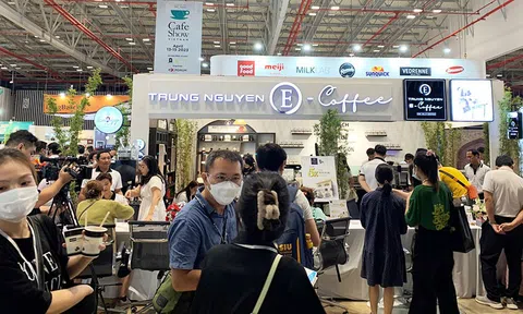 Định hướng chiến lược cho ngành sản xuất, chế biến, phân phối cà phê, thực phẩm đồ uống