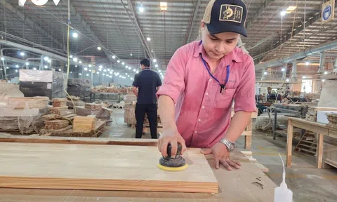 Nhiều doanh nghiệp gỗ Bình Định sắp phải đóng cửa vì thiếu đơn hàng