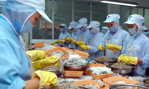 Xuất khẩu thủy sản quý I/2023 sụt giảm mạnh: Nguyên nhân từ đâu?