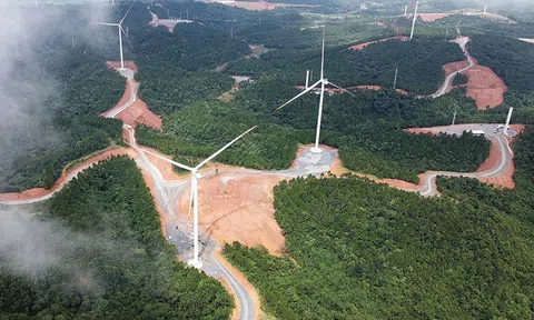 Việt Nam tăng tốc chuyển đổi năng lượng sạch