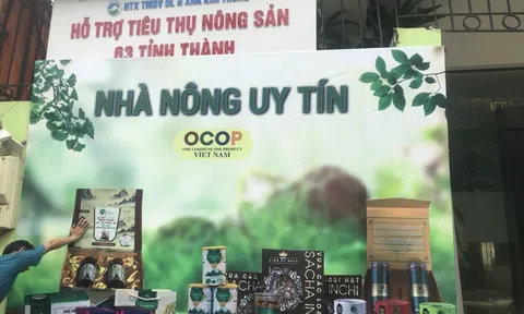 Doanh nghiệp thành viên Hiệp hội Đầu tư Xây dựng - Dịch vụ Nông, lâm nghiệp Việt Nam tăng cường xúc tiến thương mại