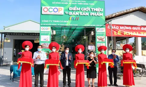 Điểm giới thiệu và bán sản phẩm OCOP cần đáp ứng những tiêu chí gì?