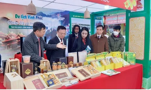 Trà hoa vàng sản phẩm độc đáo của chàng trai đam mê nông nghiệp