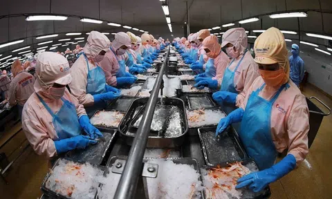 Hỗ trợ doanh nghiệp thích ứng, phục hồi nhanh, phát triển bền vững