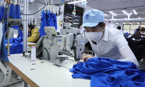 Hướng đến các thị trường xuất khẩu mới