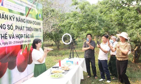 Tập huấn, hỗ trợ doanh nghiệp, hợp tác xã tỉnh Sơn La kinh doanh trên nền tảng số