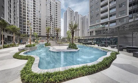 Nhiều gia đình trẻ phấn khởi khi Tập đoàn An Gia chính thức bàn giao dự án Westgate