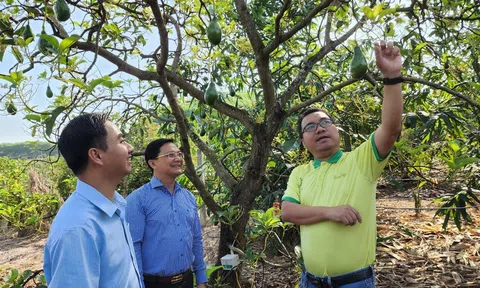 Anh nông dân trẻ từng học tại Pháp được đề cử danh hiệu danh giá Gương mặt trẻ Việt Nam tiêu biểu năm 2022