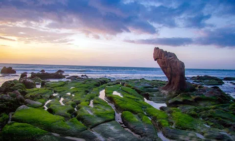 Bình Thuận: Nỗ lực đưa Mũi Né thành điểm đến hàng đầu khu vực Châu Á