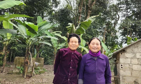 Hai người phụ nữ hơn 60 năm cưu mang đàn chim trời