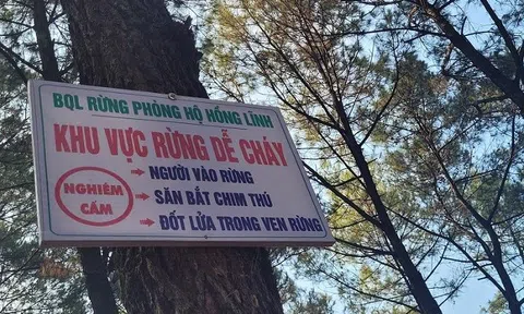 Chủ động phòng cháy, chữa cháy rừng trong mùa nắng nóng