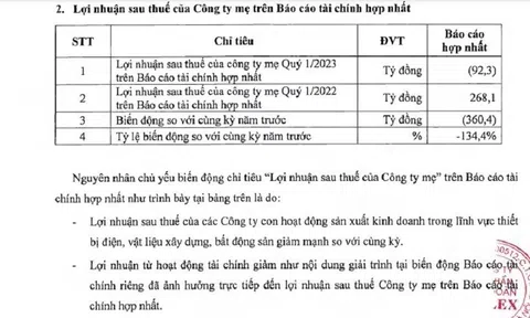 Kết thúc quý I/2023, lợi nhuận của Tập đoàn Gelex giảm 95% so với cùng kỳ, nợ vay lên đến hơn 18.000 tỷ