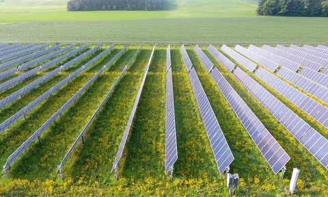 Xu hướng phát triển nông nghiệp toàn cầu