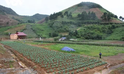 Giải pháp nào phát triển kinh tế tuần hoàn trong nông nghiệp?