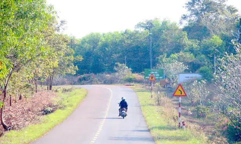 Thủ tướng đồng ý xây dựng tuyến đường kết nối Bình Phước và Đồng Nai