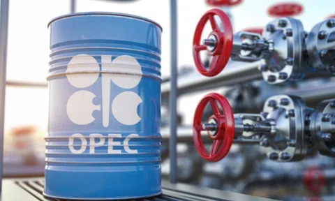 Giá cước vận chuyển dầu giảm mạnh sau khi OPEC+ cắt giảm sản lượng