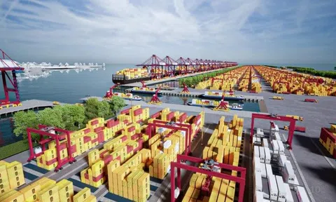 Cần Giờ (TPHCM) hội tụ đủ điều kiện để phát triển cảng trung chuyển quốc tế