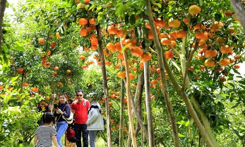 Phát triển du lịch nông nghiệp bền vững, hiệu quả