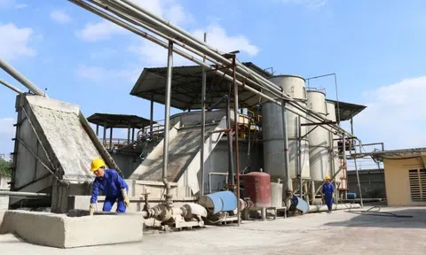 Tetra Pak đẩy mạnh thu gom và tái chế vỏ hộp đã qua sử dụng