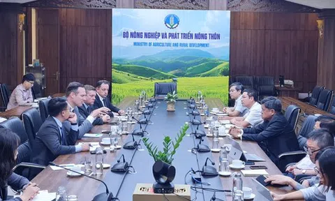 EuroCham đối thoại và đẩy mạnh hoạt động tại Việt Nam