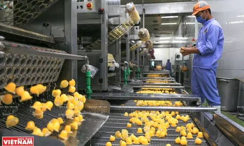 Nguyên tắc hoạt động của Long Hải – doanh nghiệp sản xuất thạch rau câu hàng đầu Việt Nam