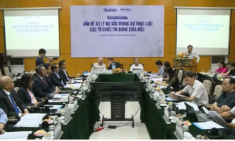 Việt Nam cần xử lý nợ xấu theo cơ chế thị trường