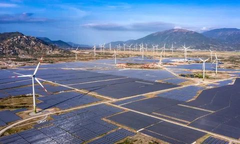 Phó Thủ tướng yêu cầu EVN đàm phán giá với chủ đầu tư điện gió, điện mặt trời