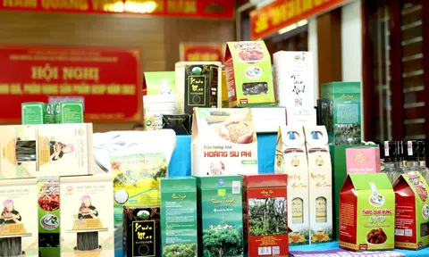 Tập trung phát triển nông nghiệp đặc trưng