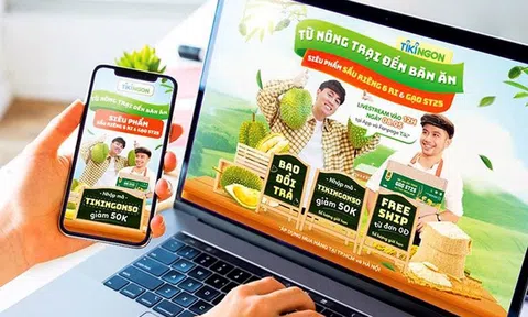 Thúc đẩy tiêu thụ hàng Việt với thương mại điện tử