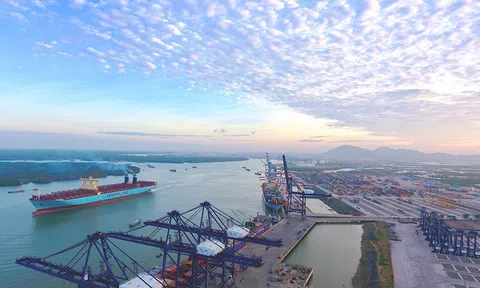 Lượng hàng container qua cảng biển Việt Nam phát triển mạnh mẽ