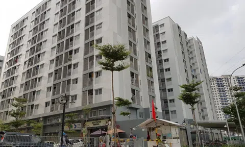 Quảng Ngãi sắp triển khai hàng loạt dự án nhà ở xã hội theo Quyết định số 338/QĐ-TTg của Thủ tướng Chính phủ