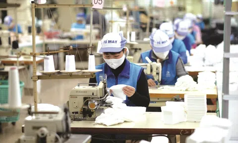 Thủ tướng yêu cầu nghiên cứu hỗ trợ lao động bị ảnh hưởng từ việc cắt giảm đơn hàng