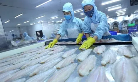 Thị hiếu khách hàng thay đổi, xuất khẩu cá khô, cá hộp của Việt Nam tăng trưởng ấn tượng