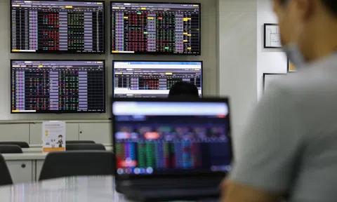 Thị trường chứng khoán Việt Nam khởi sắc