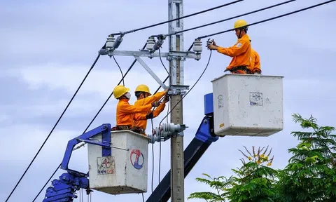 Cảnh báo xuất hiện website thông tin sai về lịch ngừng cung cấp điện