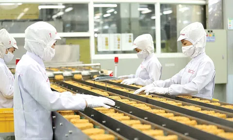 EU nới lỏng quy định về kiểm tra đối với mì ăn liền nhập khẩu từ Việt Nam