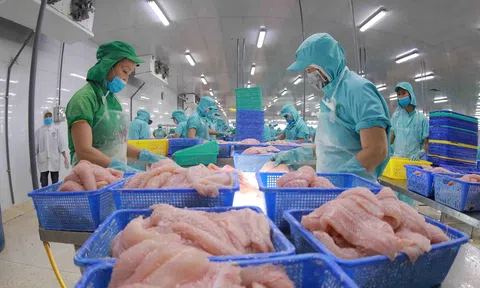 Kỳ vọng xuất khẩu thủy sản tăng trưởng trong những tháng cuối năm