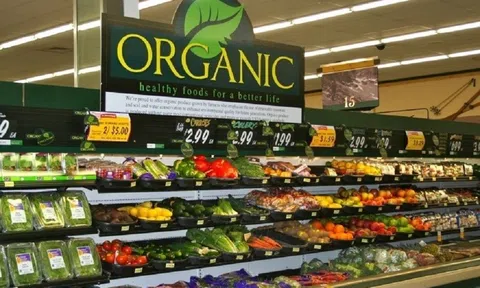 Sản xuất hữu cơ đạt tiêu chuẩn chứng nhận là chìa khóa mở cửa thị trường