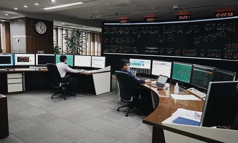 Tập đoàn Điện lực Việt Nam tạm đình chỉ chức vụ Giám đốc Trung tâm Điều độ hệ thống điện Quốc gia