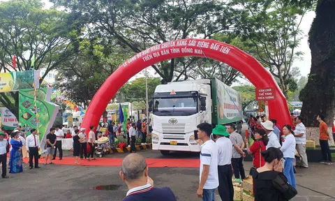 Đồng Nai xuất khẩu chính ngạch 360 tấn sầu riêng sang Trung Quốc