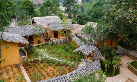 Hà Giang Xanh Homestay - Nơi tinh hoa cực Bắc hội tụ