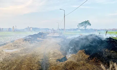 Có nên đốt rơm rạ sau thu hoạch lúa?